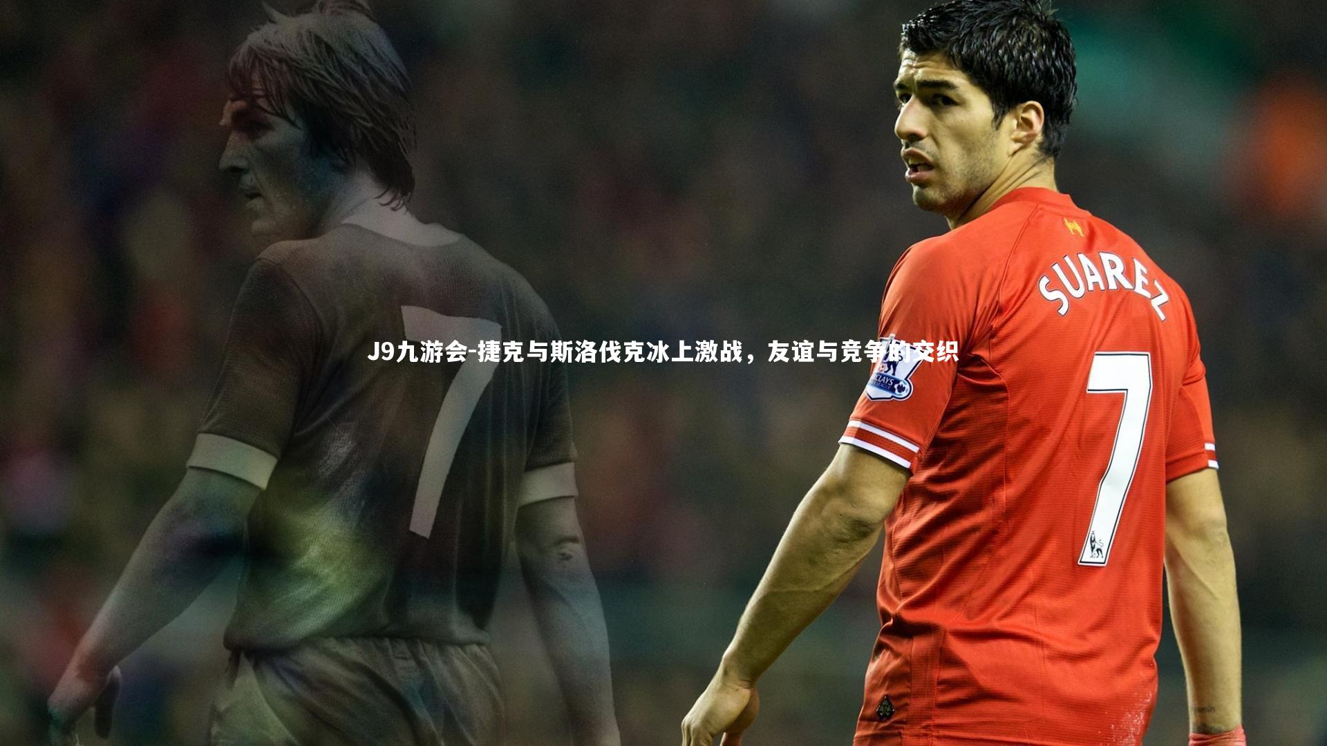 捷克与斯洛伐克冰上激战,友谊与竞争的交织